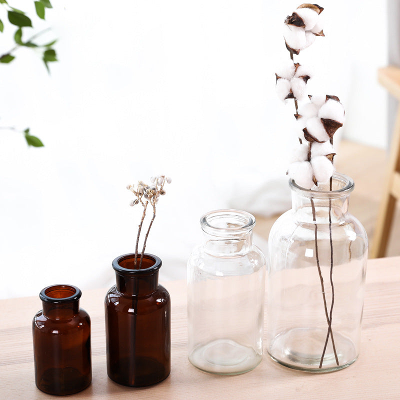 Hydroponic Plant Glass Bottle Living Room Decorations
