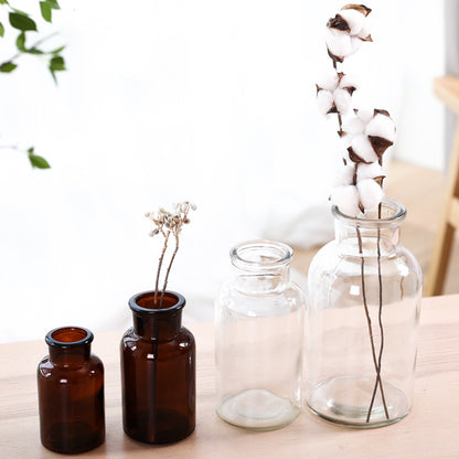 Hydroponic Plant Glass Bottle Living Room Decorations